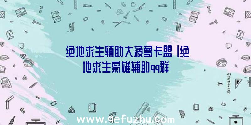 「绝地求生辅助大菠萝卡盟」|绝地求生枭雄辅助qq群